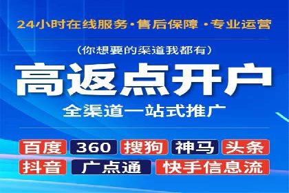 百度推广运营实战：成功案例解析